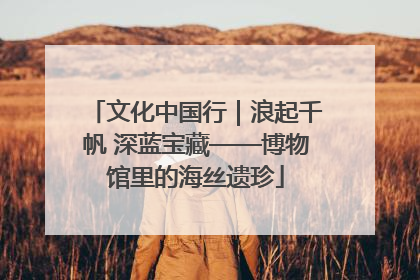文化中国行｜浪起千帆 深蓝宝藏——博物馆里的海丝遗珍