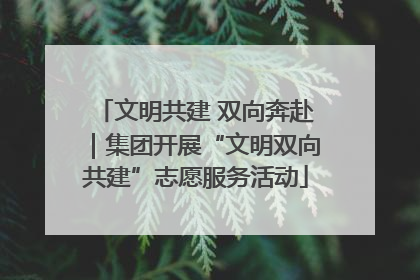 文明共建 双向奔赴｜集团开展“文明双向共建”志愿服务活动