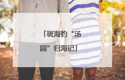 斑海豹“汤圆”归海记