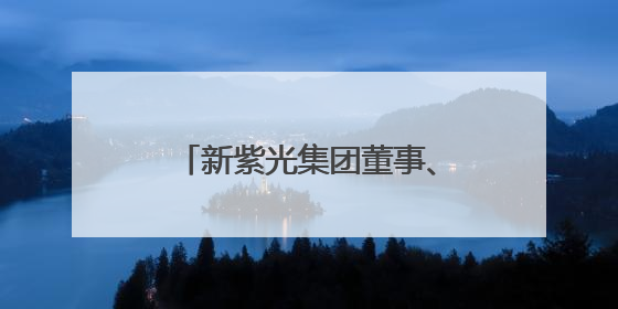新紫光集团董事、联席总裁陈杰：我国有移动互联网时代的成功经验，最有能力做好AI应用创新