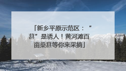 新乡平原示范区：“葚”是诱人！黄河滩百亩桑葚等你来采摘