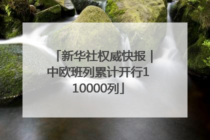 新华社权威快报｜中欧班列累计开行110000列