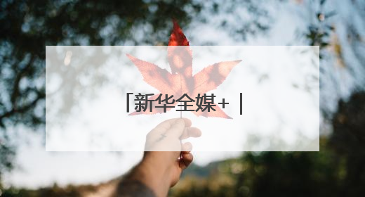 新华全媒+｜内蒙古：沙海之中建“蓝海”