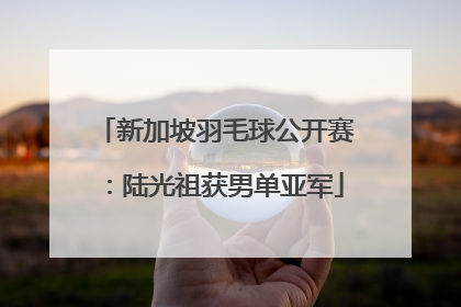新加坡羽毛球公开赛：陆光祖获男单亚军