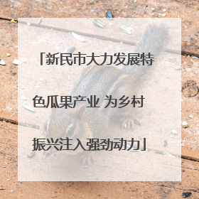 新民市大力发展特色瓜果产业 为乡村振兴注入强劲动力