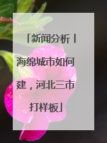 新闻分析丨海绵城市如何建，河北三市打样板