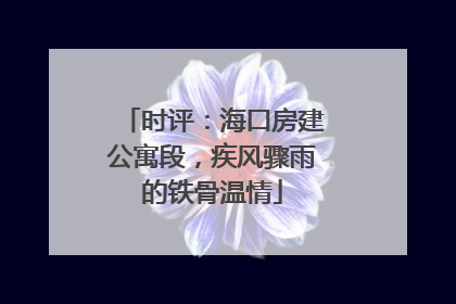 时评：海口房建公寓段，疾风骤雨的铁骨温情