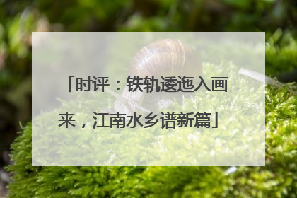时评：铁轨逶迤入画来，江南水乡谱新篇