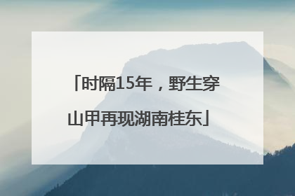 时隔15年，野生穿山甲再现湖南桂东