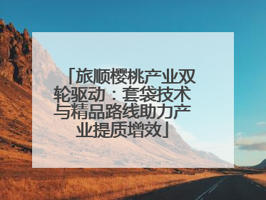 旅顺樱桃产业双轮驱动：套袋技术与精品路线助力产业提质增效