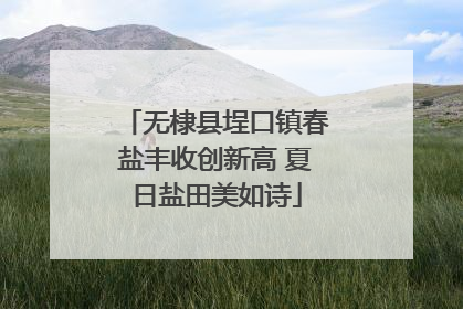 无棣县埕口镇春盐丰收创新高 夏日盐田美如诗