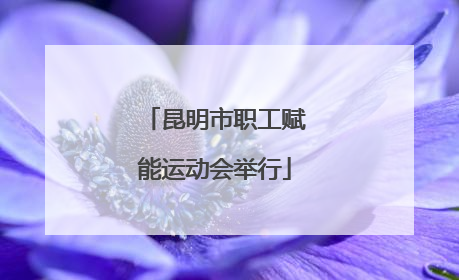 昆明市职工赋能运动会举行