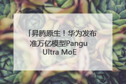 昇腾原生！华为发布准万亿模型Pangu Ultra MoE模型架构和训练细节