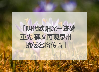 明代欧阳深事迹碑重光 碑文再现泉州抗倭名将传奇