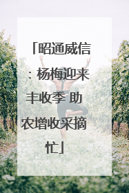 昭通威信：杨梅迎来丰收季 助农增收采摘忙