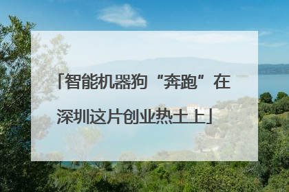 智能机器狗“奔跑”在深圳这片创业热土上