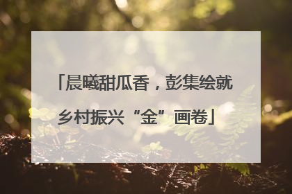 晨曦甜瓜香，彭集绘就乡村振兴“金”画卷