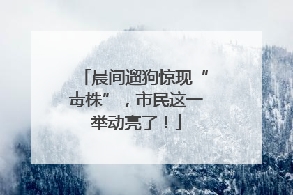 晨间遛狗惊现“毒株”，市民这一举动亮了！