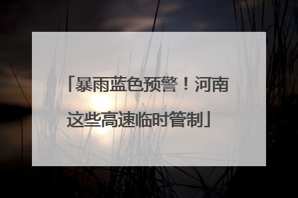 暴雨蓝色预警！河南这些高速临时管制