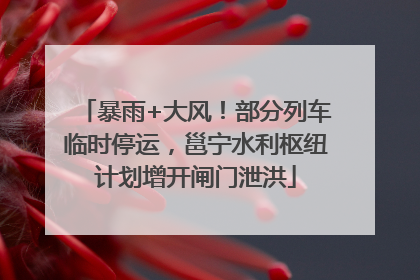 暴雨+大风！部分列车临时停运，邕宁水利枢纽计划增开闸门泄洪