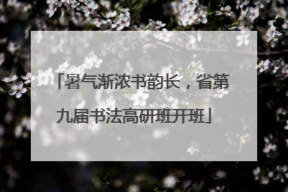 暑气渐浓书韵长，省第九届书法高研班开班