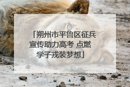 朔州市平鲁区征兵宣传助力高考 点燃学子戎装梦想