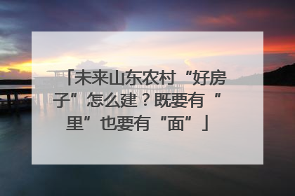 未来山东农村“好房子”怎么建？既要有“里”也要有“面”