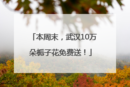 本周末，武汉10万朵栀子花免费送！