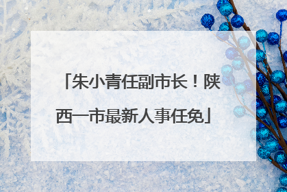朱小青任副市长！陕西一市最新人事任免