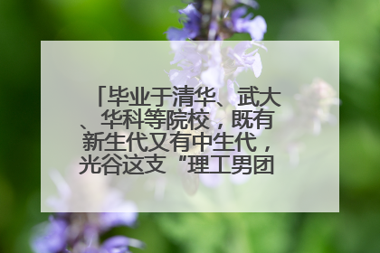 毕业于清华、武大、华科等院校，既有新生代又有中生代，光谷这支“理工男团”为何“出道”？