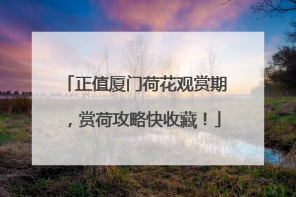 正值厦门荷花观赏期，赏荷攻略快收藏！
