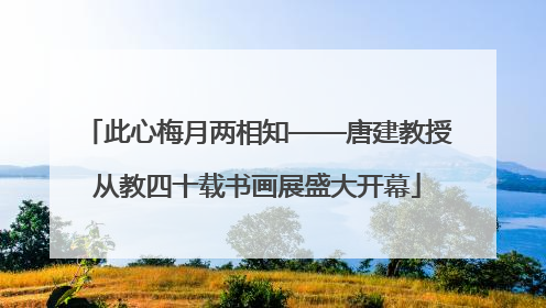 此心梅月两相知——唐建教授从教四十载书画展盛大开幕