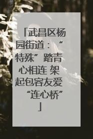 武昌区杨园街道：“特殊”踏青心相连 架起包容友爱“连心桥”