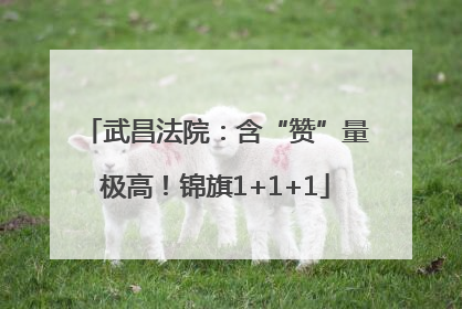 武昌法院：含“赞”量极高！锦旗1+1+1