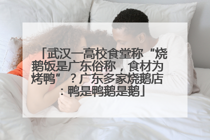 武汉一高校食堂称“烧鹅饭是广东俗称，食材为烤鸭”？广东多家烧鹅店：鸭是鸭鹅是鹅