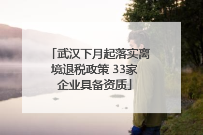 武汉下月起落实离境退税政策 33家企业具备资质