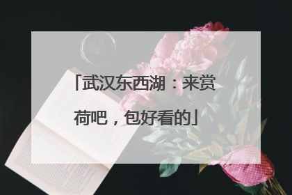 武汉东西湖：来赏荷吧，包好看的