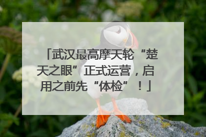 武汉最高摩天轮“楚天之眼”正式运营，启用之前先“体检”！