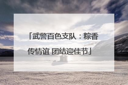 武警百色支队：粽香传情谊 团结迎佳节