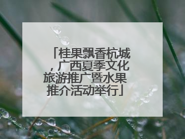 桂果飘香杭城，广西夏季文化旅游推广暨水果推介活动举行