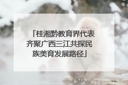 桂湘黔教育界代表齐聚广西三江共探民族美育发展路径