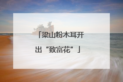 梁山粉木耳开出“致富花”