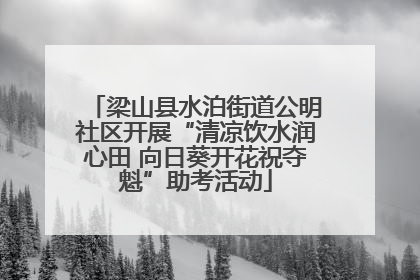 梁山县水泊街道公明社区开展“清凉饮水润心田 向日葵开花祝夺魁”助考活动