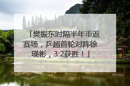 樊振东时隔半年重返赛场，乒超首轮对阵徐瑛彬，3:2获胜！