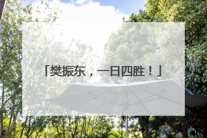 樊振东，一日四胜！