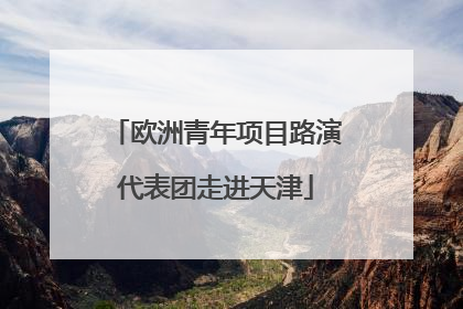 欧洲青年项目路演代表团走进天津