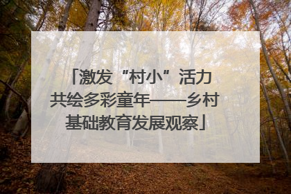 激发“村小”活力 共绘多彩童年——乡村基础教育发展观察
