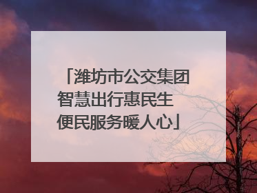 潍坊市公交集团智慧出行惠民生 便民服务暖人心