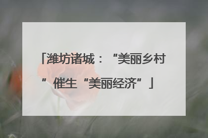 潍坊诸城：“美丽乡村”催生“美丽经济”