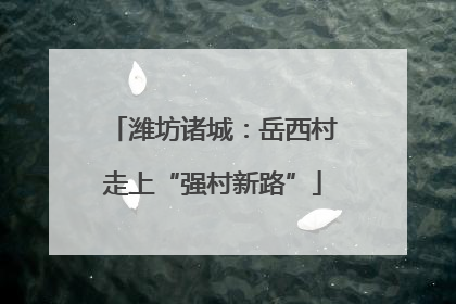 潍坊诸城：岳西村走上“强村新路”